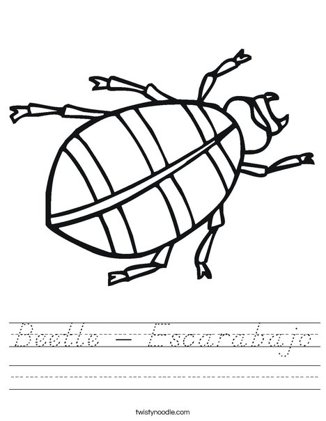 Beetle Worksheet