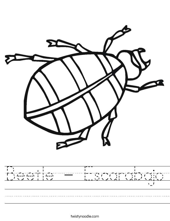 Beetle - Escarabajo Worksheet