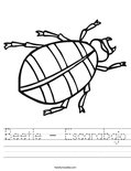 Beetle - Escarabajo Worksheet