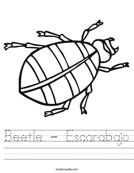 Beetle Worksheet