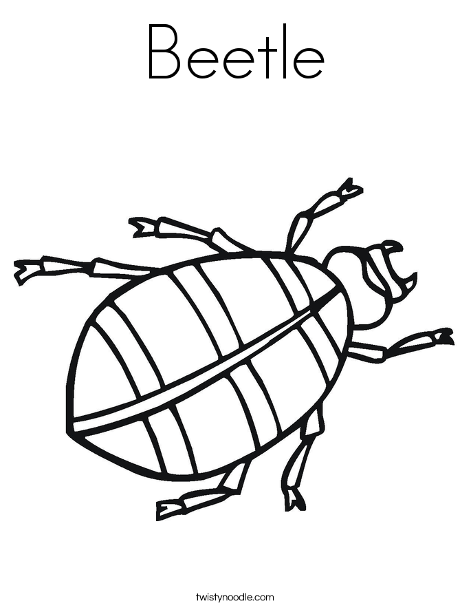Beetle Coloring Page Twisty Noodle - Beetle Coloring Page 