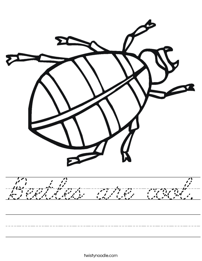 Beetles are cool. Worksheet