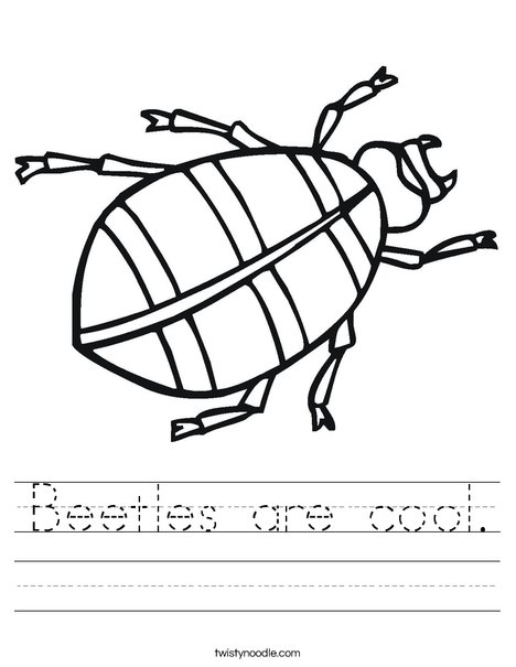 Beetle Worksheet