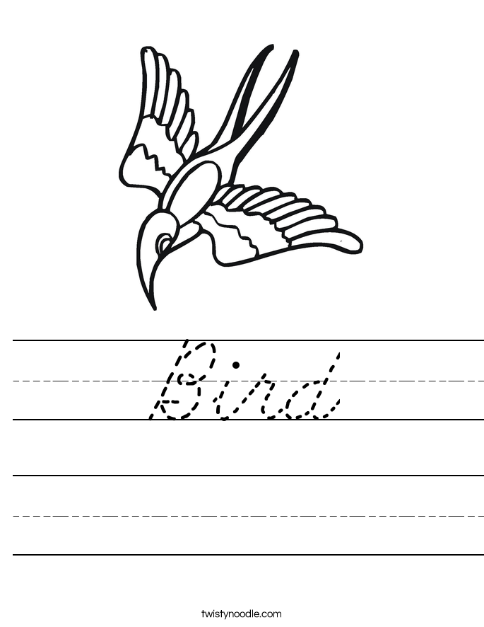 Bird Worksheet