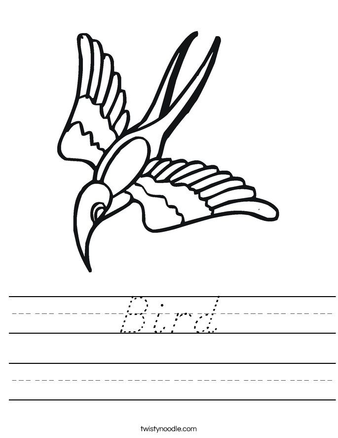 Bird Worksheet