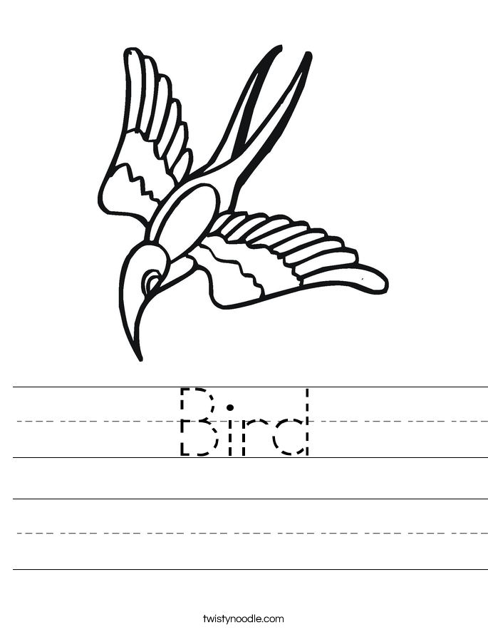 Bird Worksheet