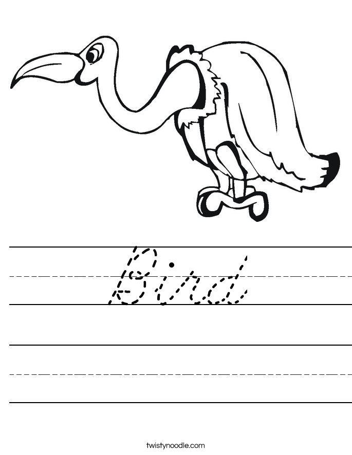 Bird Worksheet