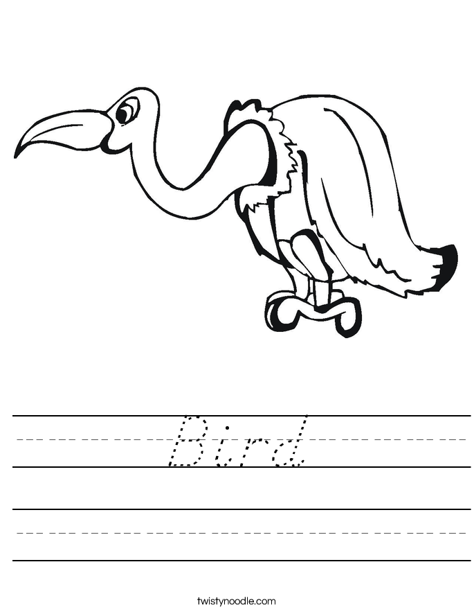 Bird Worksheet