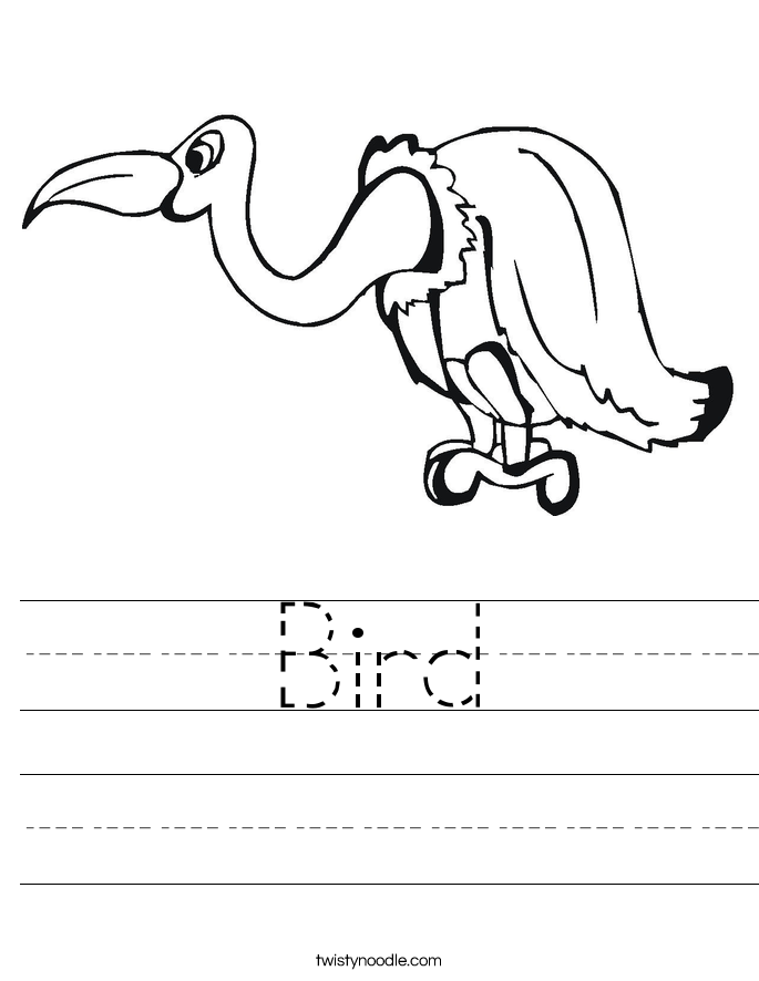 Bird Worksheet
