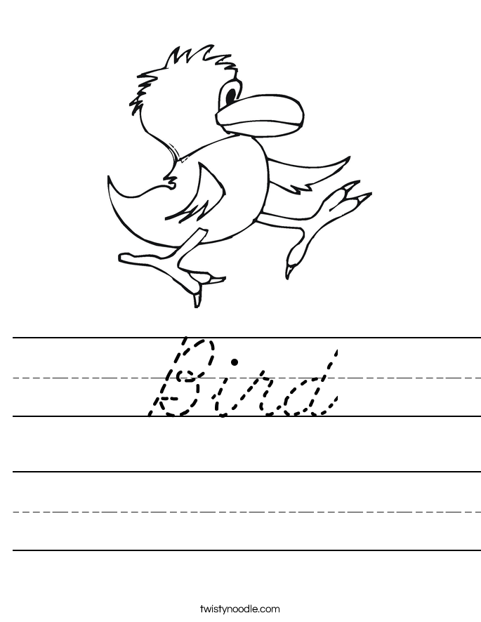 Bird Worksheet