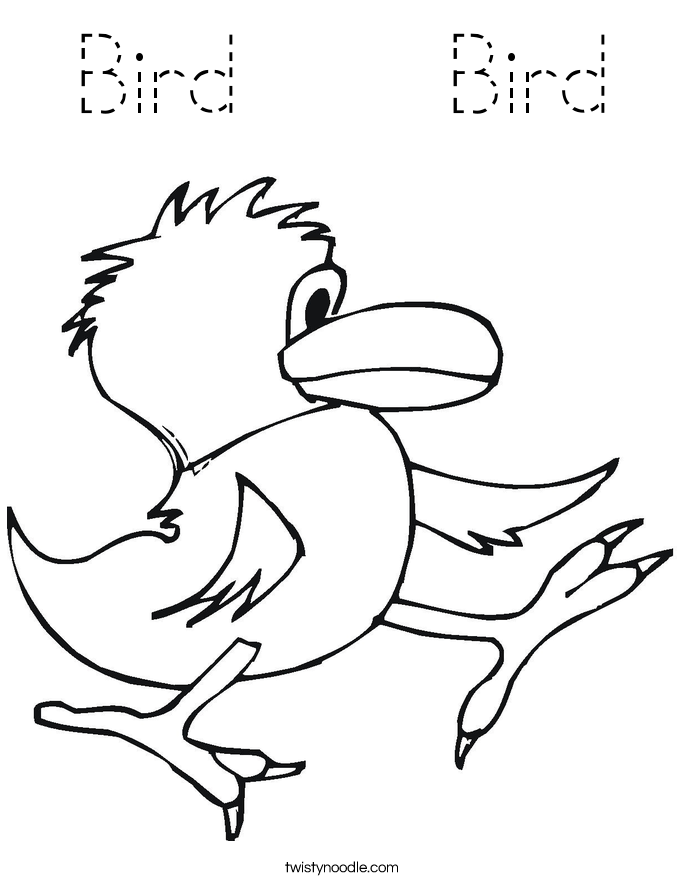 Bird    Bird Coloring Page