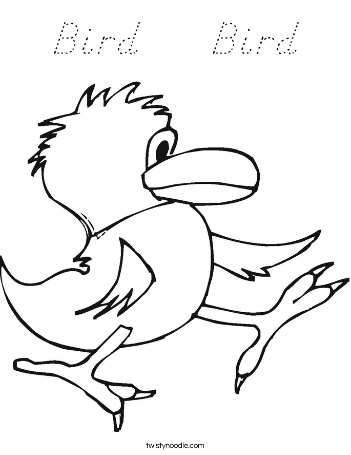 Bird    Bird Coloring Page