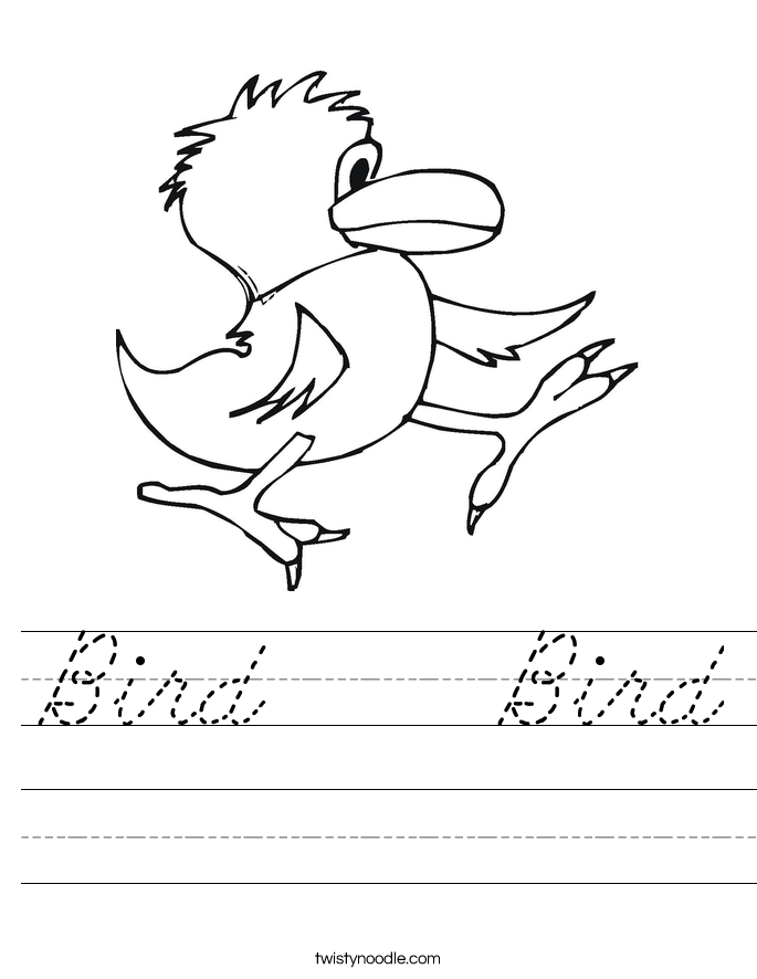 Bird    Bird Worksheet