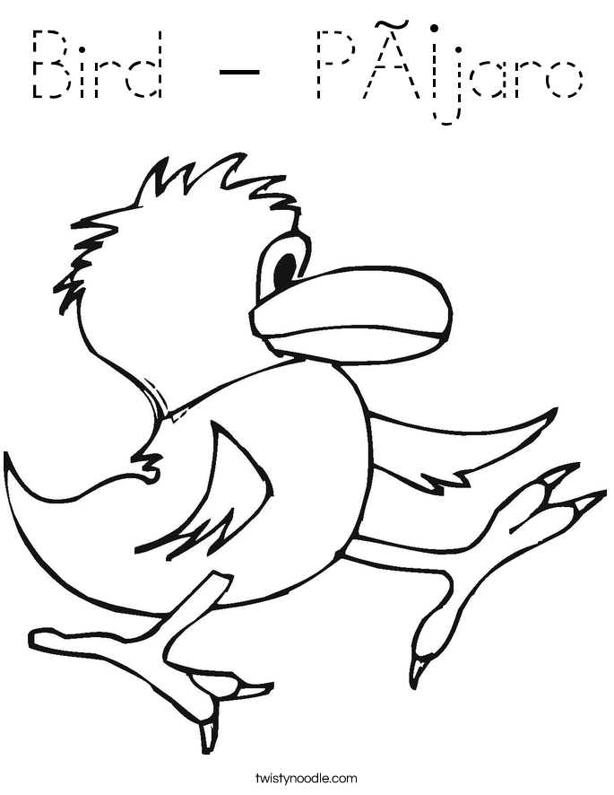 Bird - Pájaro Coloring Page
