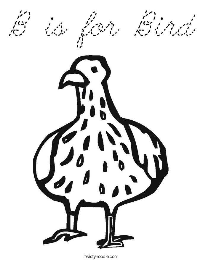  Coloring Page