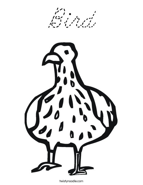 Bird with Spots Coloring Page