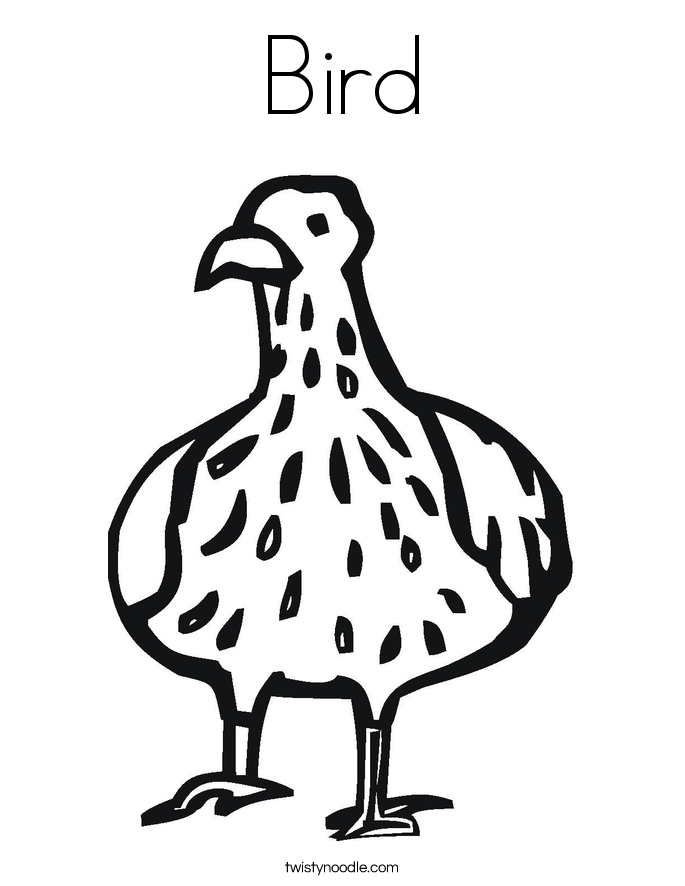 Bird Coloring Page