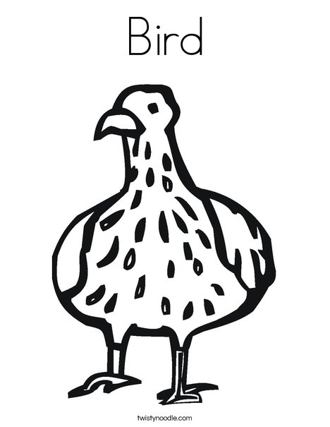 Bird with Spots Coloring Page