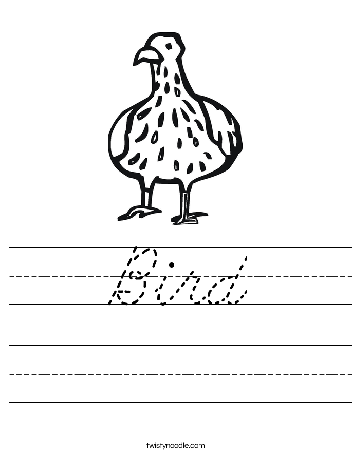 Bird Worksheet