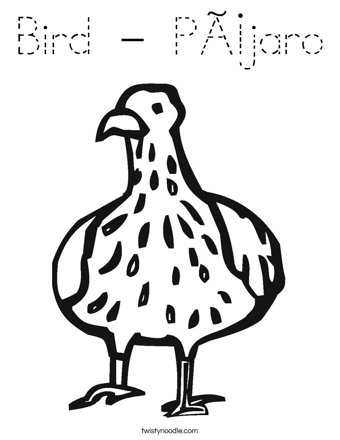 Bird - Pájaro Coloring Page