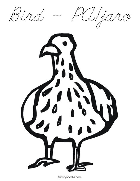 Bird with Spots Coloring Page