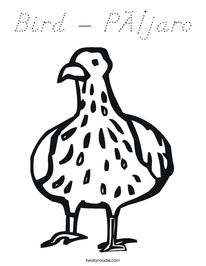 Bird - Pájaro Coloring Page