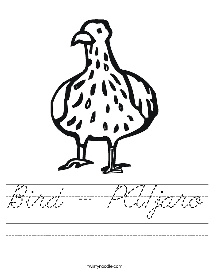 Bird - Pájaro Worksheet