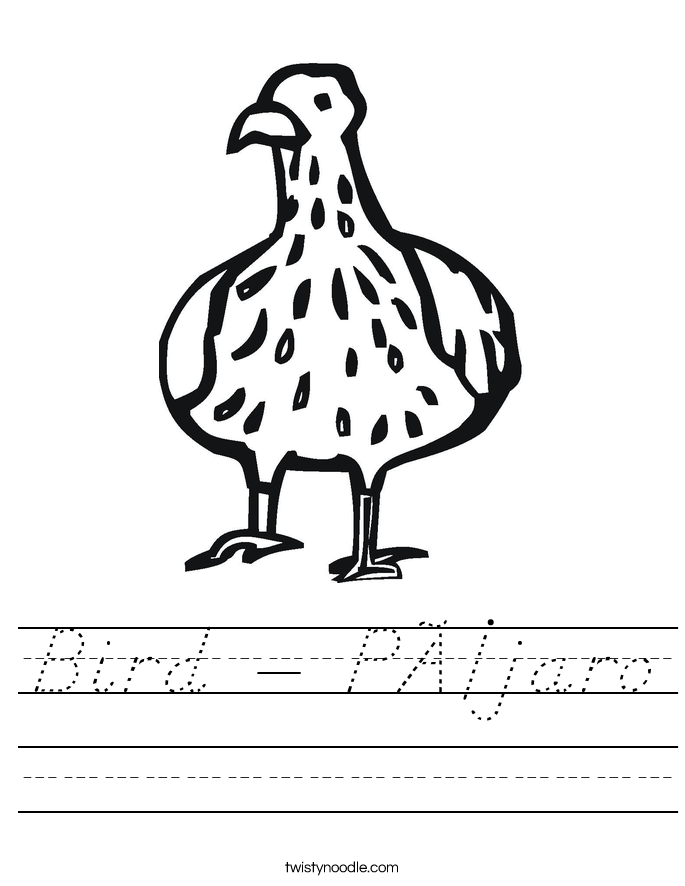 Bird - Pájaro Worksheet