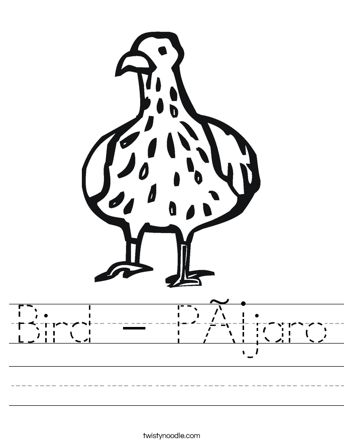 Bird - Pájaro Worksheet