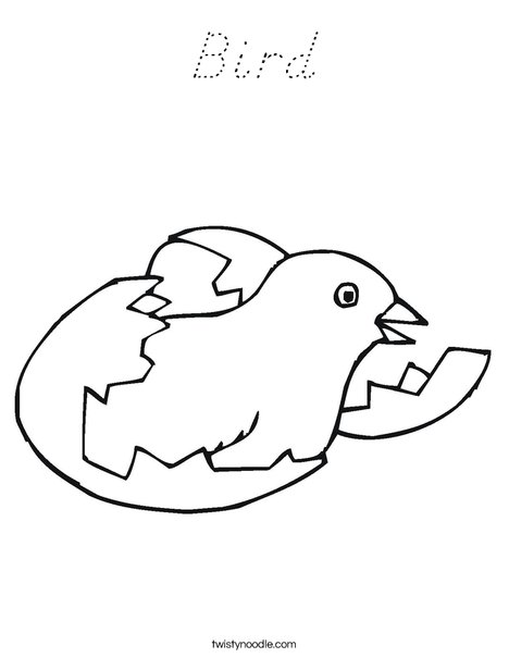 Bird Hatching Coloring Page