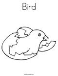 Bird Coloring Page