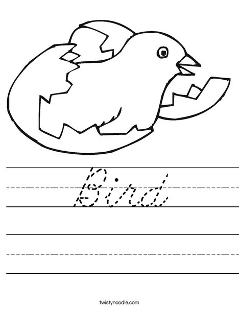 Bird Hatching Worksheet