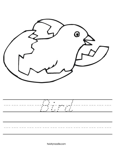 Bird Hatching Worksheet