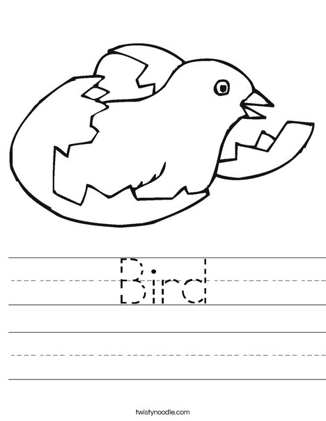 Bird Hatching Worksheet