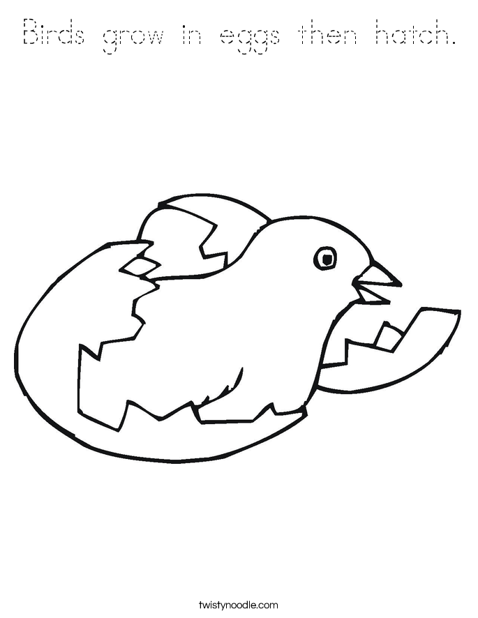 Birds grow in eggs then hatch. Coloring Page