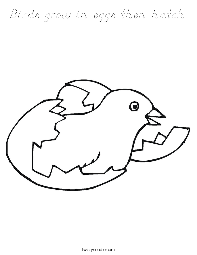 Birds grow in eggs then hatch. Coloring Page