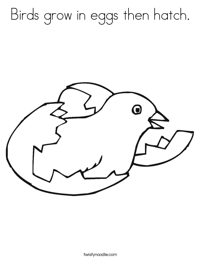 Birds grow in eggs then hatch. Coloring Page