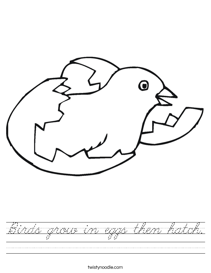 Birds grow in eggs then hatch. Worksheet