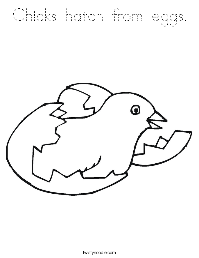 Download Chicks hatch from eggs Coloring Page - Tracing - Twisty Noodle