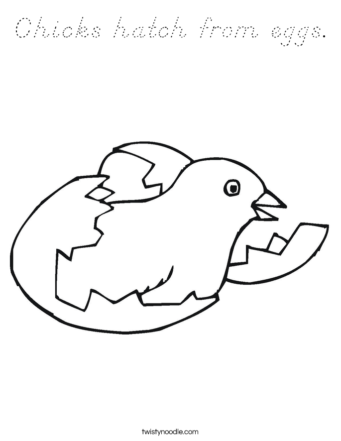 Chicks hatch from eggs. Coloring Page
