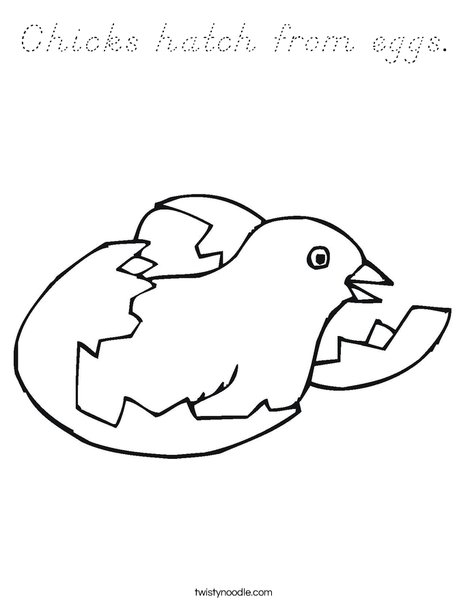 Bird Hatching Coloring Page