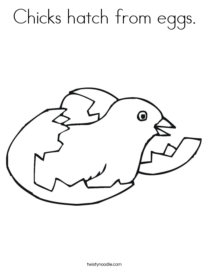 Chicks hatch from eggs. Coloring Page