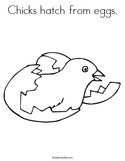 Chicks hatch from eggs Coloring Page