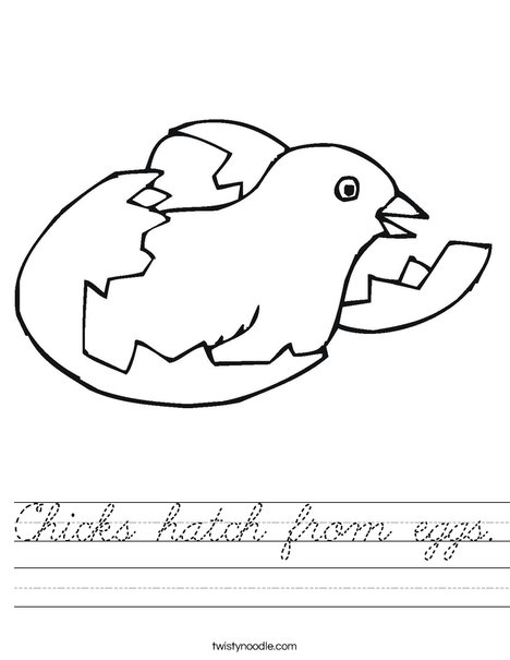 Bird Hatching Worksheet