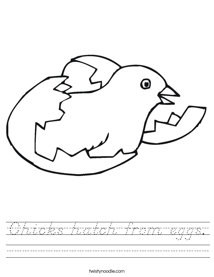 Chicks hatch from eggs. Worksheet