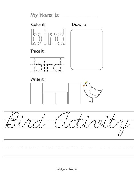 Bird Activity Worksheet