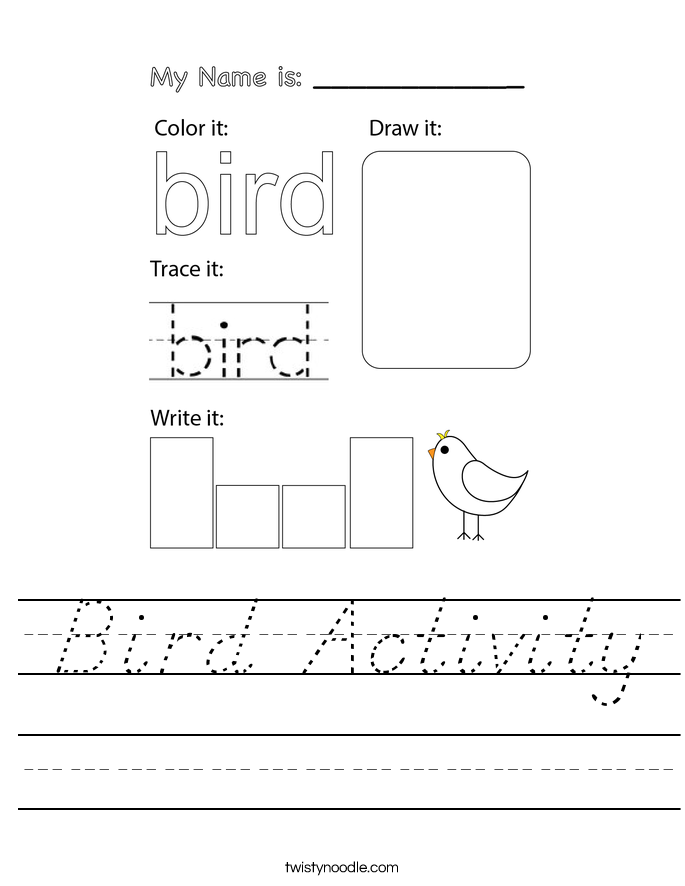 Bird Activity Worksheet