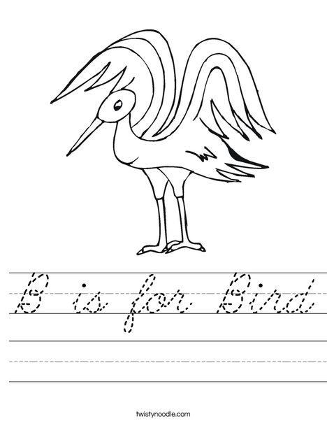 Bird Worksheet