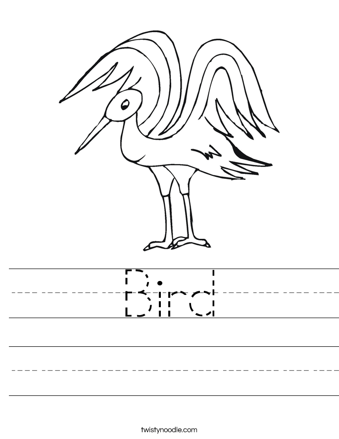 Bird Worksheet