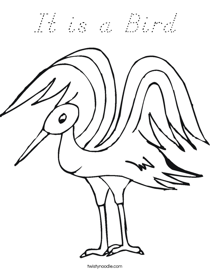 It is a Bird Coloring Page